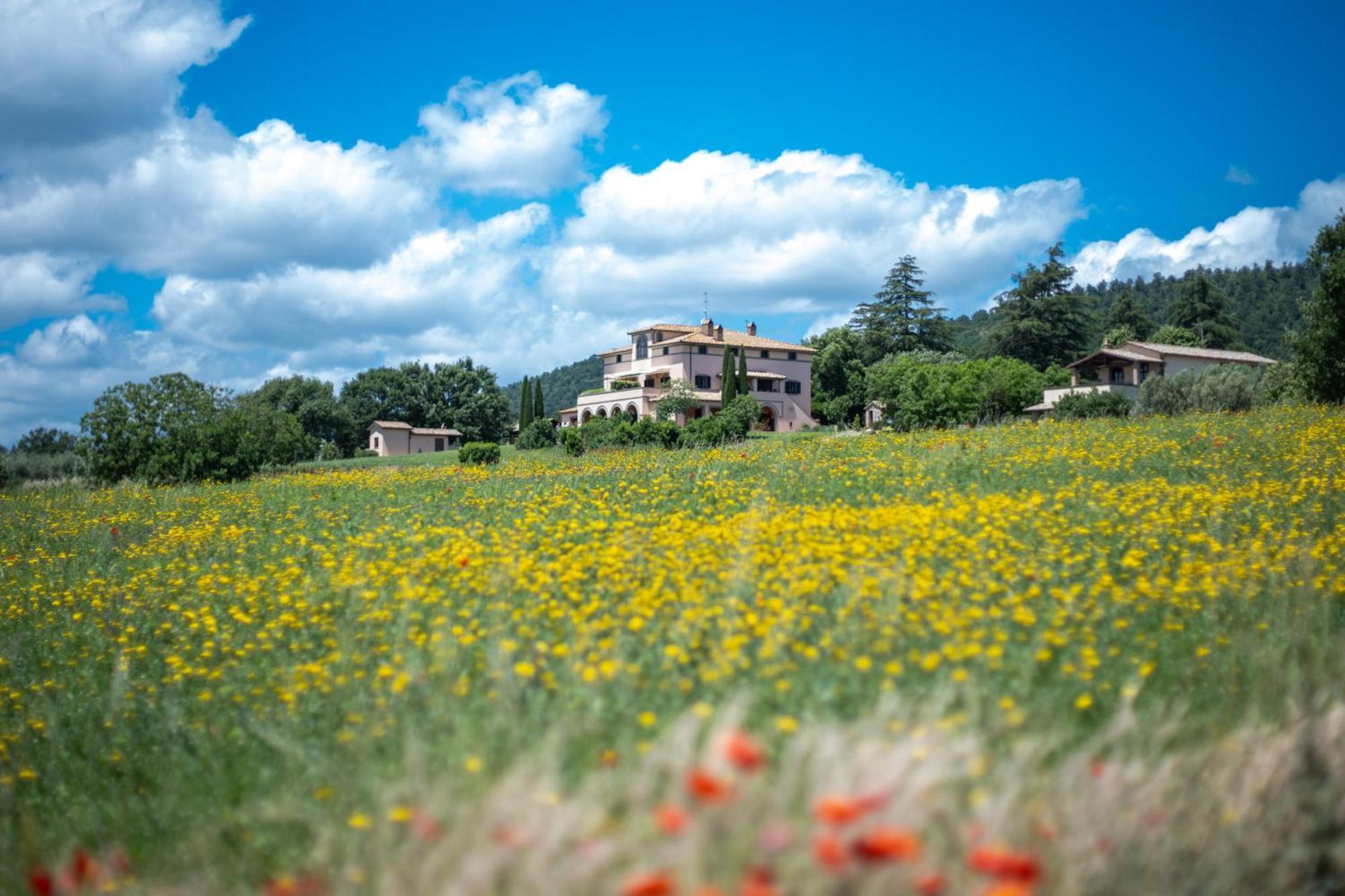 Agri Relais Il Poderaccio Di Bolsena Exterior foto