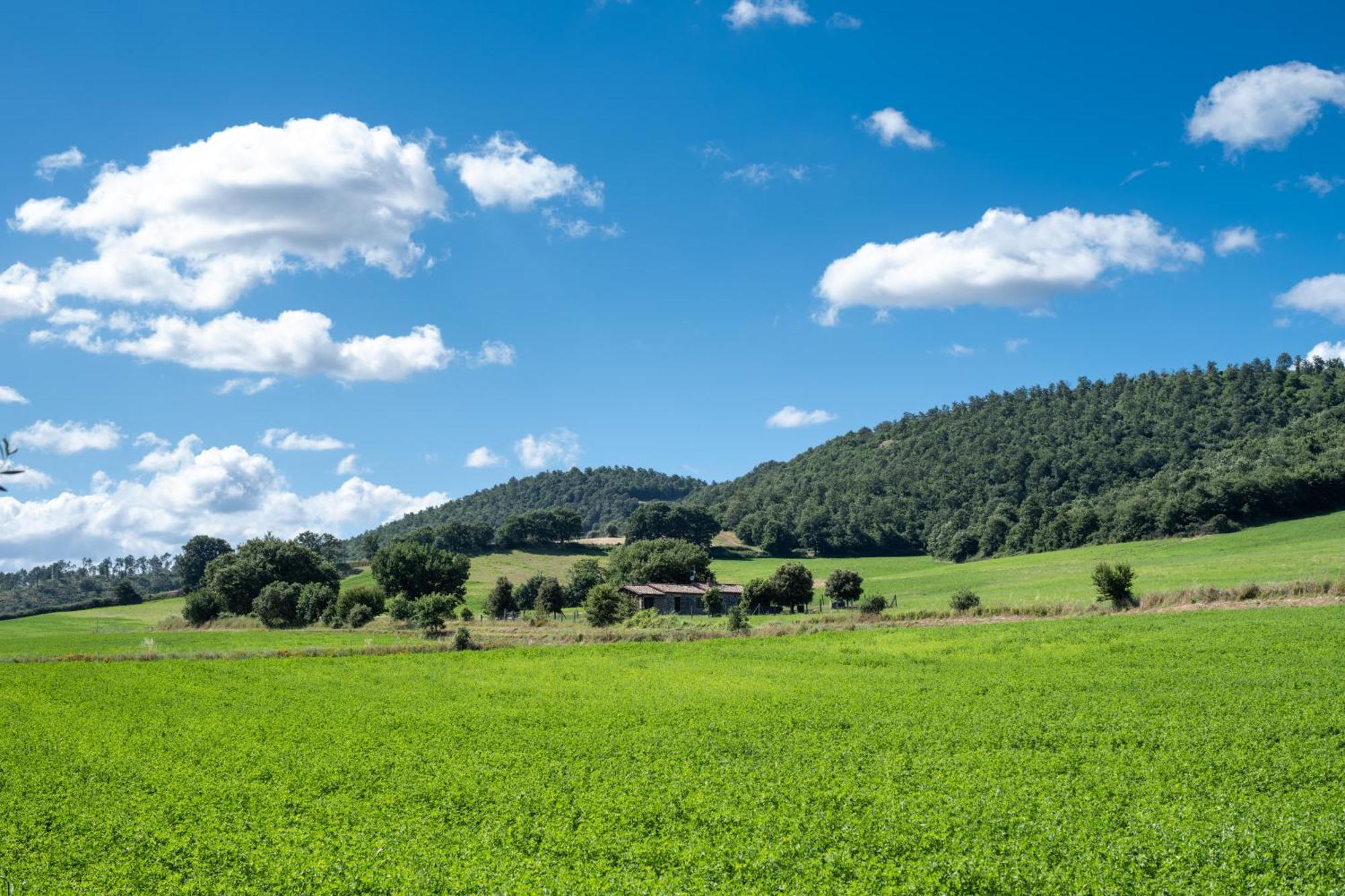 Agri Relais Il Poderaccio Di Bolsena Exterior foto