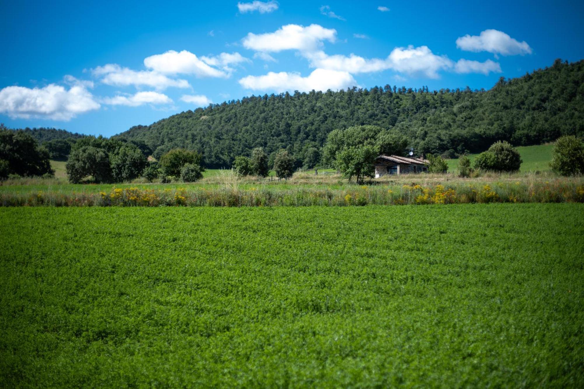 Agri Relais Il Poderaccio Di Bolsena Exterior foto
