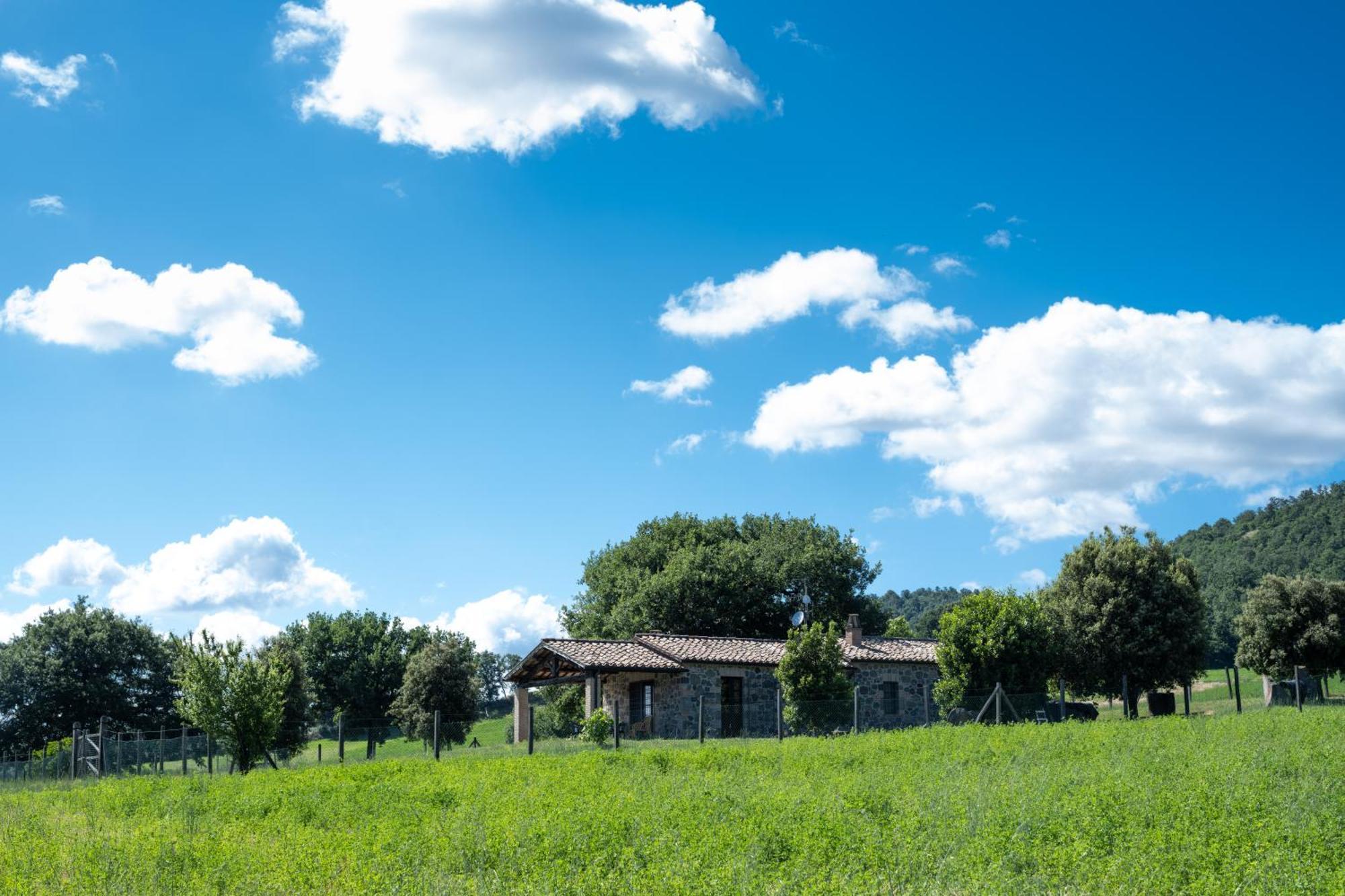 Agri Relais Il Poderaccio Di Bolsena Exterior foto