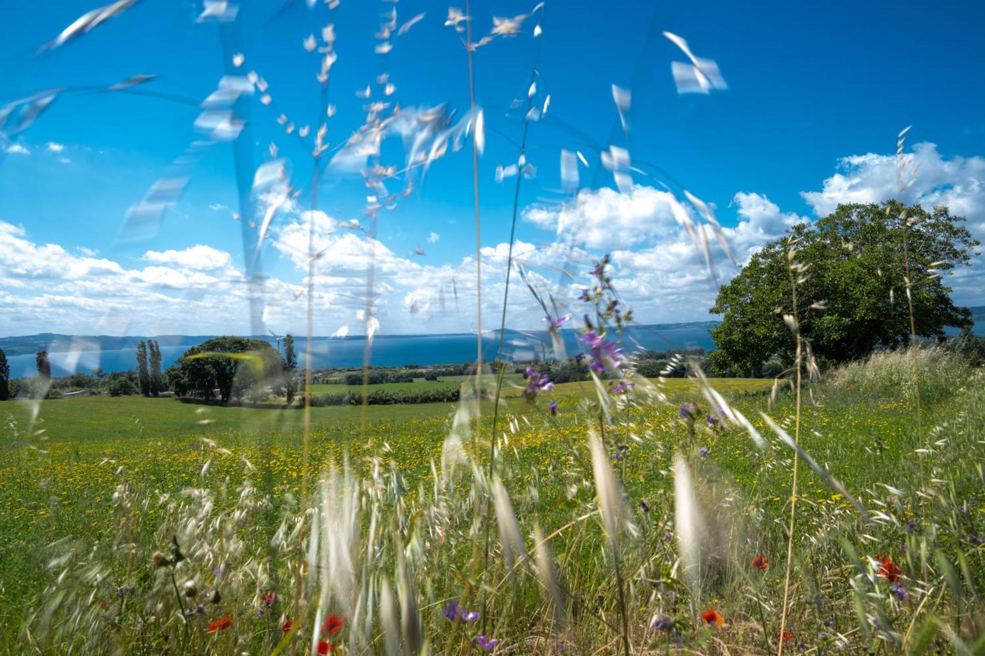 Agri Relais Il Poderaccio Di Bolsena Exterior foto