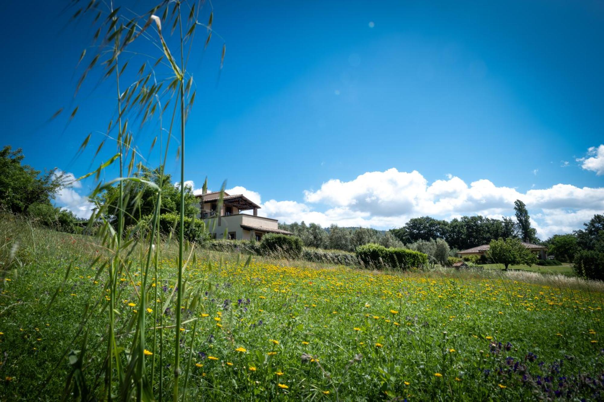 Agri Relais Il Poderaccio Di Bolsena Exterior foto