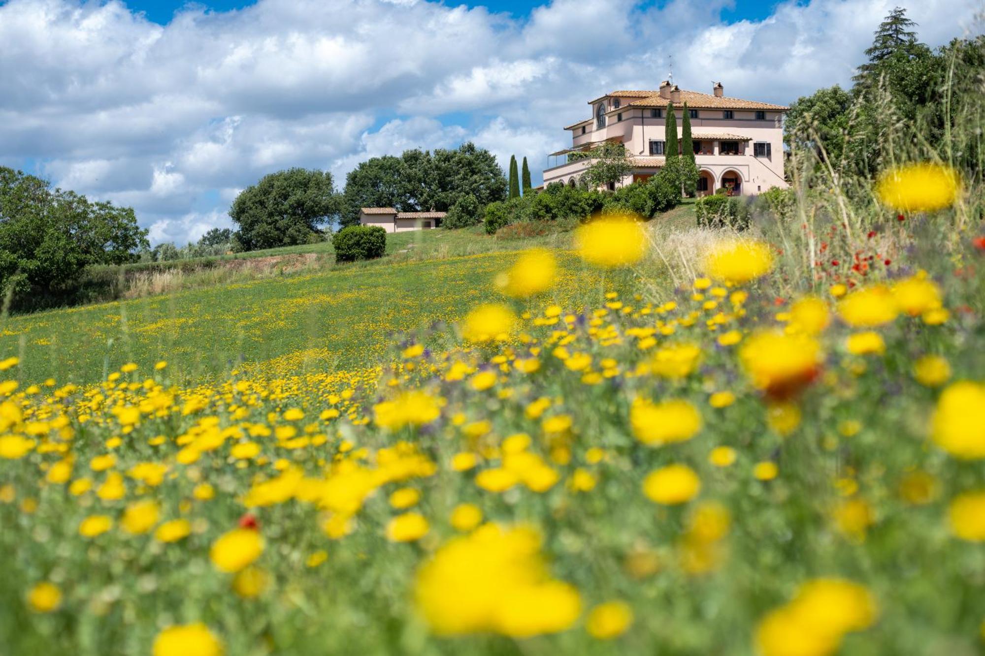 Agri Relais Il Poderaccio Di Bolsena Exterior foto