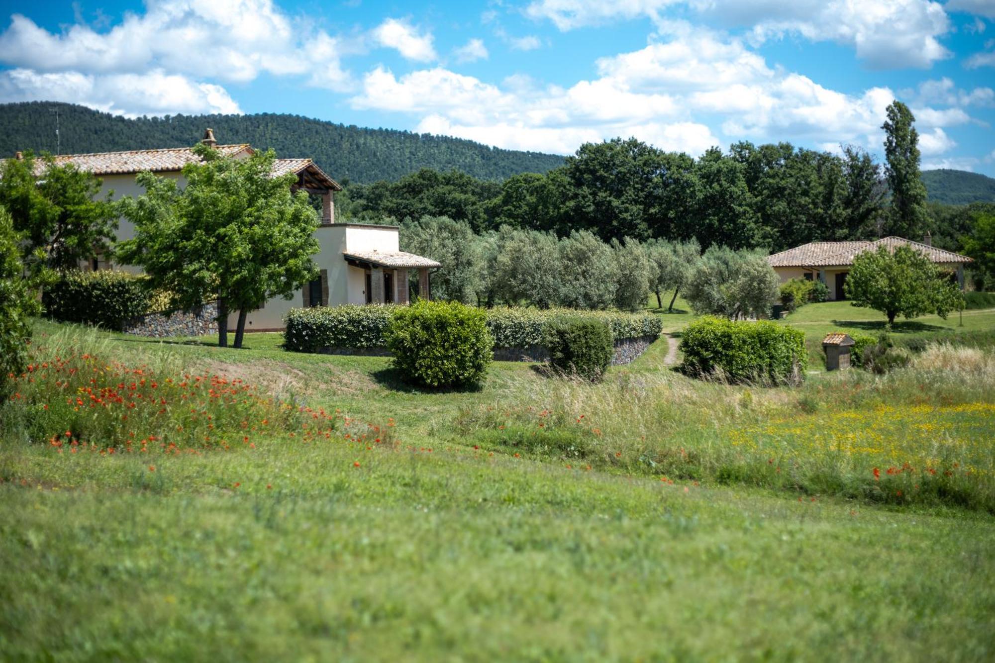 Agri Relais Il Poderaccio Di Bolsena Exterior foto